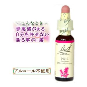 バッチフラワーエッセンス 38本セット 10ml バッチフラワーレメディ 35ホワイトチェストナット ノンアルコープ