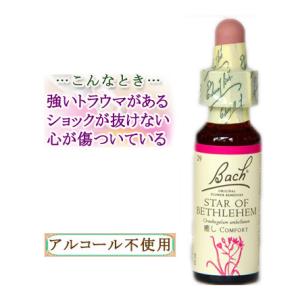 バッチフラワーレメディ 29スターオブベツレヘム ノンアルコープタイプ 10ml フラワーエッセンス｜女性のしあわせ応援ハーブレンド