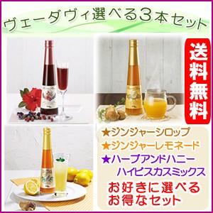 ヴェーダヴィージンジャーシロップ3本 ヴェーダヴィ ジンジャーシロップ ハーブアンドハニー