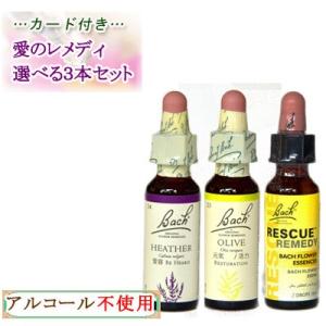 バッチフラワーレメディ・バイキング3本セット送料無料 グリセリン