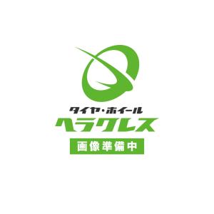 日本製鉄 タフブライト 17.5インチ×6.0(135) 6穴/222.25 JIS規格