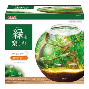 ジェックス GEX AQUARIUM グラスアクア スフィア-N アクアリウム 小型水槽 水草 テラリウム