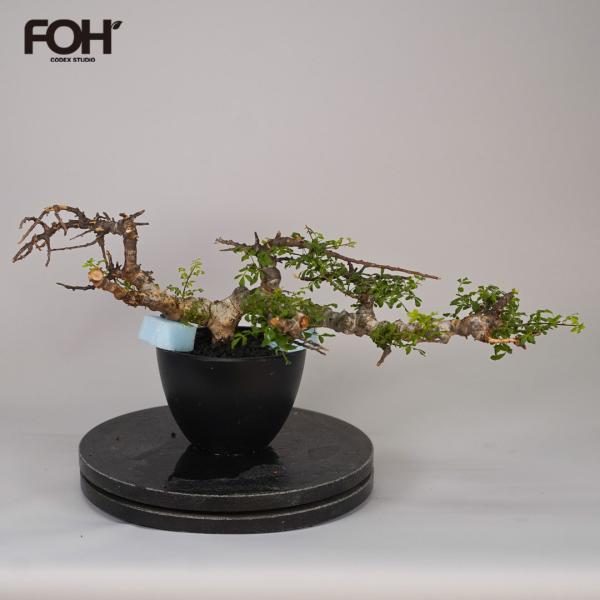 IGTテーブル 天板 Shine Trip SOTO対応クロス柄天板 ブラック シェフテーブル カス...