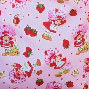 レターパックプラス対応 ストロベリーショートケ...の詳細画像2