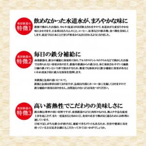 南部鉄器 IRONCRAFT ザ・鉄玉子薄型 ...の詳細画像3