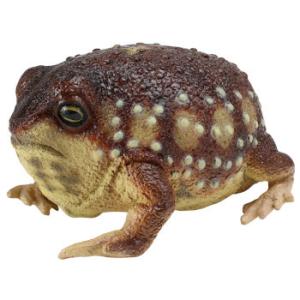 ラテックス アメフクラガエル 天然ゴムぬいぐるみ 置物 カエル リアル両生類フィギア T 株式会社米三 通販 Yahoo ショッピング