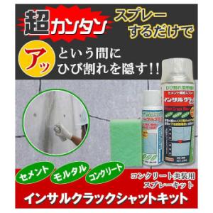 インサル クラックシャットキット キャンセル返品不可の詳細画像1