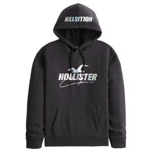 【並行輸入品】ホリスター メンズ パーカー ( プルオーバー ) Hollister Shine L...