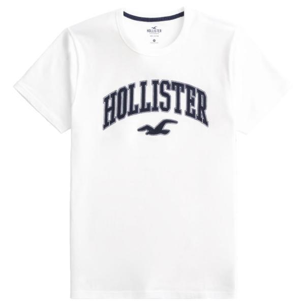 【並行輸入品】【メール便送料無料】ホリスター メンズ Ｔシャツ ( 半袖 ) Hollister V...