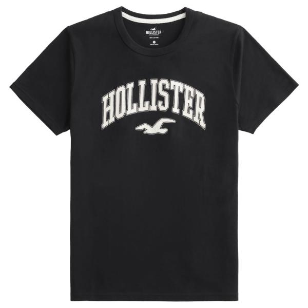 【並行輸入品】【メール便送料無料】ホリスター メンズ Ｔシャツ ( 半袖 ) Hollister V...