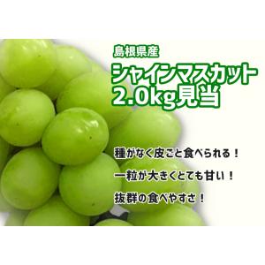 訳あり シャインマスカット 産地直送 約2kg...の詳細画像1