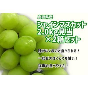 訳あり シャインマスカット 産地直送 約2kg...の詳細画像1