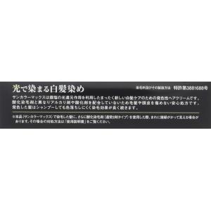 白髪染め サンカラーマックス ブラウン 75g...の詳細画像4
