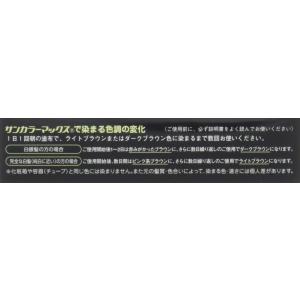 白髪染め サンカラーマックス ブラウン 75g...の詳細画像5
