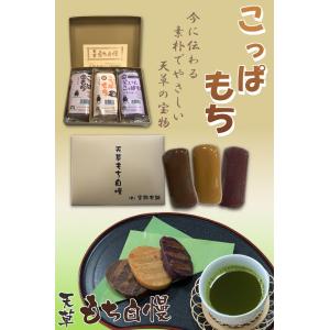 和菓子 宝餅本舗こっぱもち 1本 こっぱ餅 餅菓子 さつまいも 紫いも 黒糖 無添加 常温 熊本 天...