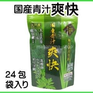 水素吸入器 ハイドリッチ スタートキット 医師監修 日本製 電源不要
