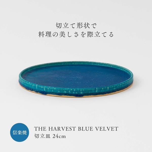 切立皿 プレート 24cm スタックトレイ 信楽焼 THE HARVEST BLUE VELVET ...