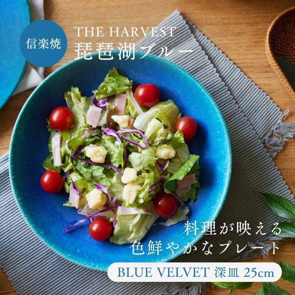 深皿 25cm ディーププレート 信楽焼 BLUE VELVET  ブルー 青 食器 和食器 皿 丸...