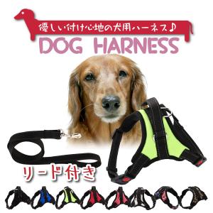 ハーネス 犬 おしゃれ リード付き 脱げない 簡単装着