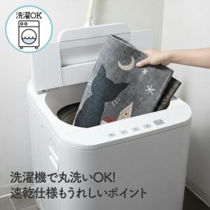 玄関マット 猫 屋内 室内 上がりかまち 洗え...の詳細画像4