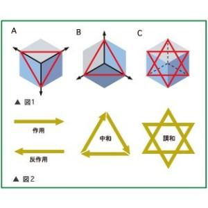 【単品】「+19」ミラクル・ヘキサ、セラミック...の詳細画像5