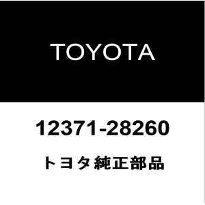 トヨタ（TOYOTA） トヨタ純正 SAI ラジエータグリル 53101-75200
