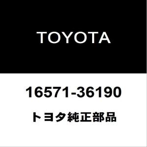 トヨタ（TOYOTA） トヨタ純正 C-HR リアスポイラー 76085-10902-C1