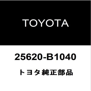 トヨタ（TOYOTA） トヨタ純正 ライズ バックパネルガーニッシュ 76801
