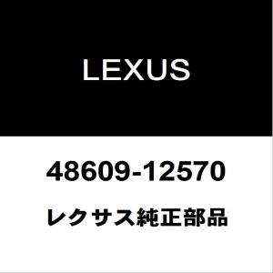 レクサス（LEXUS） レクサス純正 CT ラジエータグリルモール 53121
