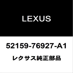 レクサス（LEXUS） レクサス純正 CT ラジエータグリルモール 53121