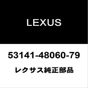 レクサス（LEXUS） レクサス純正 CT ラジエータグリルモール 53121