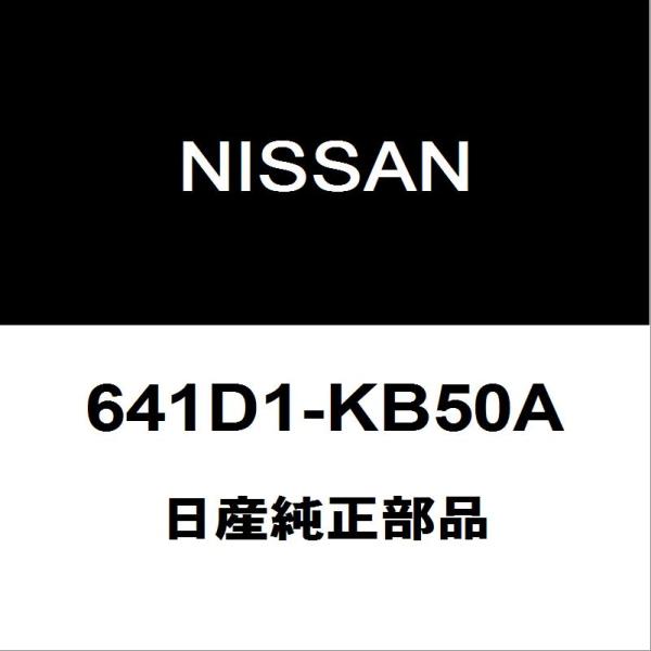 日産純正 GT-R フロントフェンダエプロンLH 641D1-KB50A