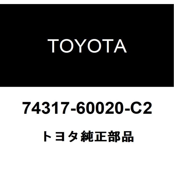 トヨタ純正 バイザ ブラケット カバー 74317-60020-C2