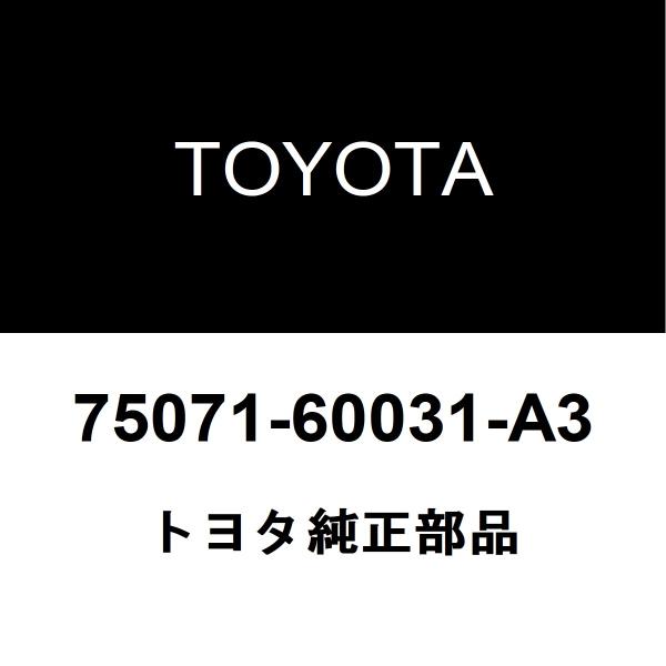 トヨタ純正 ランドクルーザー100 フロントドアプロテクタモールRH 75071-60031-A3