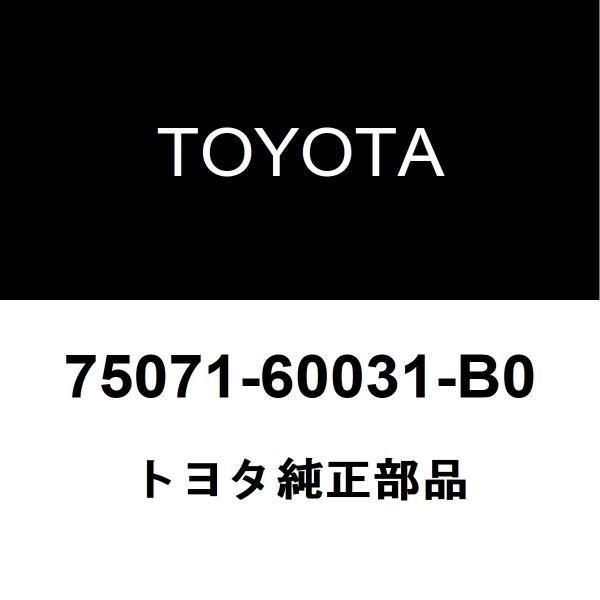 トヨタ純正 ランドクルーザー100 フロントドアプロテクタモールRH 75071-60031-B0
