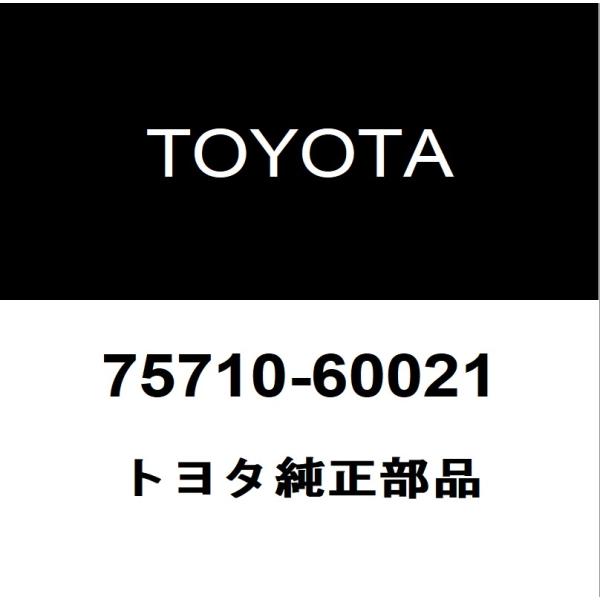 トヨタ純正 ランドクルーザー80 フロントドアベルトモールRH 75710-60021