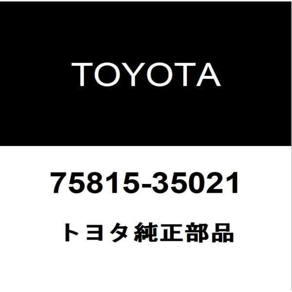 トヨタ純正 FJクルーザー バックドアORトランクモール 75815-35021
