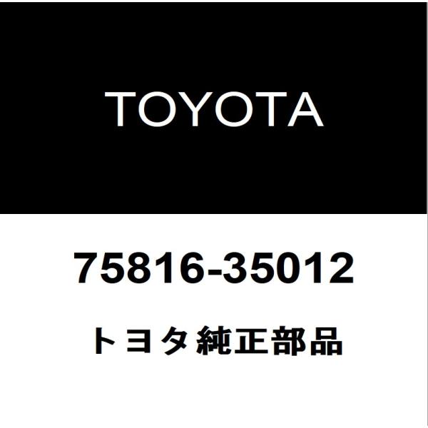 トヨタ純正 FJクルーザー バックドアORトランクモール 75816-35012