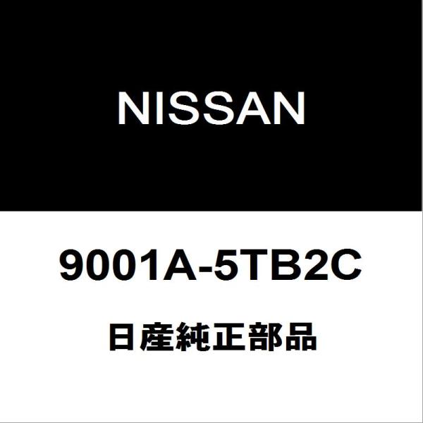 日産純正 セレナ リアウィンドシールドガラス 9001A-5TB2C