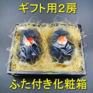 【予約】2026年産予約開始 ニューピオーネ ...の詳細画像2