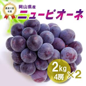 【予約】2026年産予約開始 ニューピオーネ 2kg4房2箱 ぶどう 送料無料 日本農業賞大賞受賞の産地 岡山びほく産 化粧箱