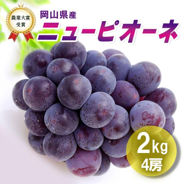 令和7年産予約 9月上旬発送開始 ニューピオーネ 2kg4房 ぶどう 送料無料一部地域を除き 岡山び...