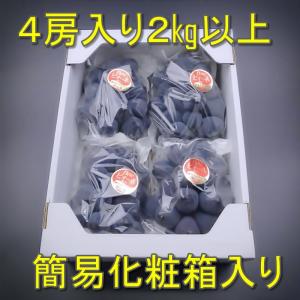 【予約】2026年産予約開始 ニューピオーネ ...の詳細画像1