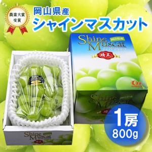 令和7年産予約 10月上旬発送開始 シャインマスカット ギフト 晴王800g前後 送料無料 岡山びほく産 化粧箱1房 得トク0706