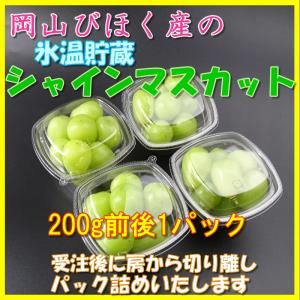 R7年産予約 12月上旬発送開始 特別貯蔵シャイ...の商品画像