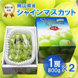 【予約】2026年産予約開始 シャインマスカット 晴王 800g前後 1房箱 2 箱 ギフト化粧箱 送料無料 日本農業賞大賞受賞の産地岡山びほく産