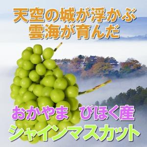 シャインマスカット晴王 ぶどう 800g前後1房箱 2箱 ギフト化粧箱 送料無料 日本農業賞大賞受賞の産地岡山びほく産｜hey-com-bicchu