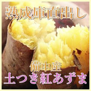 紅あずま 送料無料 熟成庫直出し新物さつまいも おかやま備中産5kg 得トクセール