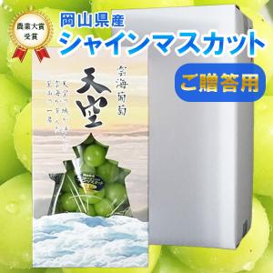 令和7年産 シャインマスカット ご贈答用 晴王 ぶどう 特許出願中の特殊箱 日本農業賞大賞受賞の産地岡山びほく産 雲海葡萄 天空