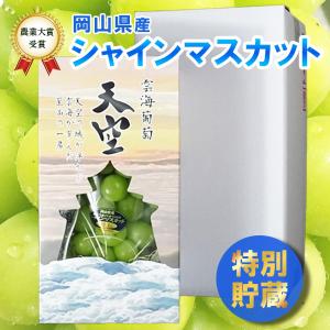 R7年産予約 発送12月より 特別貯蔵 シャインマスカット 大房1房入り 御歳暮に 特許出願中の特殊箱 岡山びほく産 雲海葡萄 天空